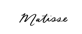 Store Brand Image